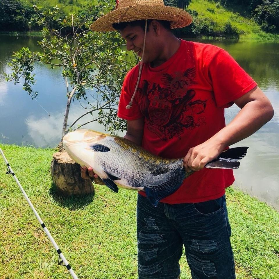 Hotel Vista Lago Santiago Ngoại thất bức ảnh